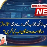 What Applicants Should Do Now