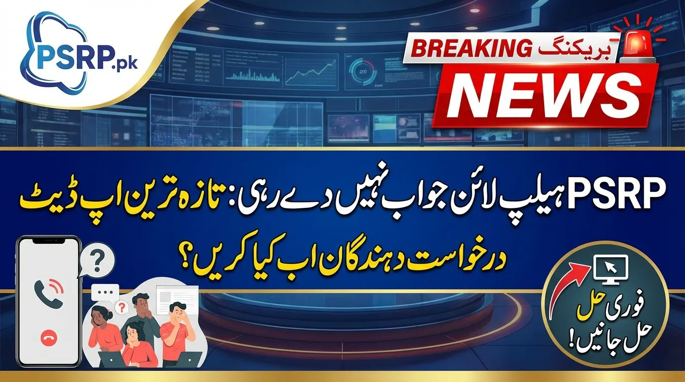 What Applicants Should Do Now